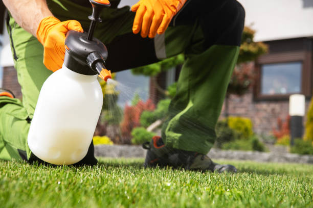 Best Affordable Pest Control Services  in Troup, TX