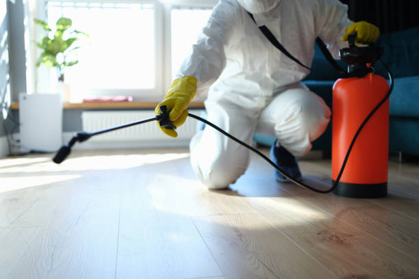 Wasp Removal Services in Troup, TX
