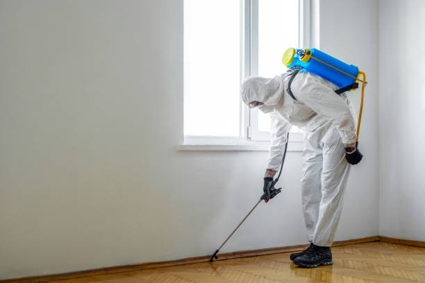 Best Local Pest Control Services  in Troup, TX