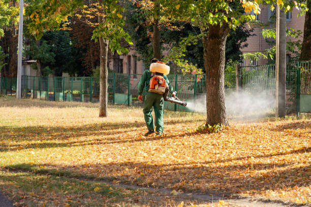 Best Best Pest Control Companies  in Troup, TX