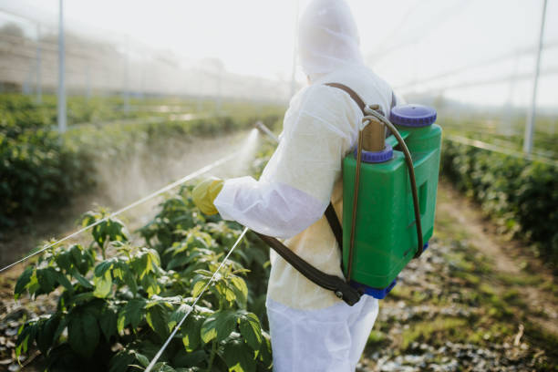 Best Affordable Pest Control Services  in Troup, TX